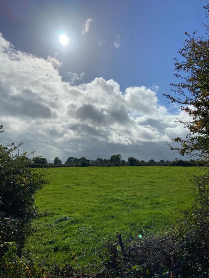 Katie'S Cottage Limerick Junction Zewnętrze zdjęcie