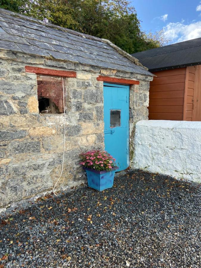 Katie'S Cottage Limerick Junction Zewnętrze zdjęcie